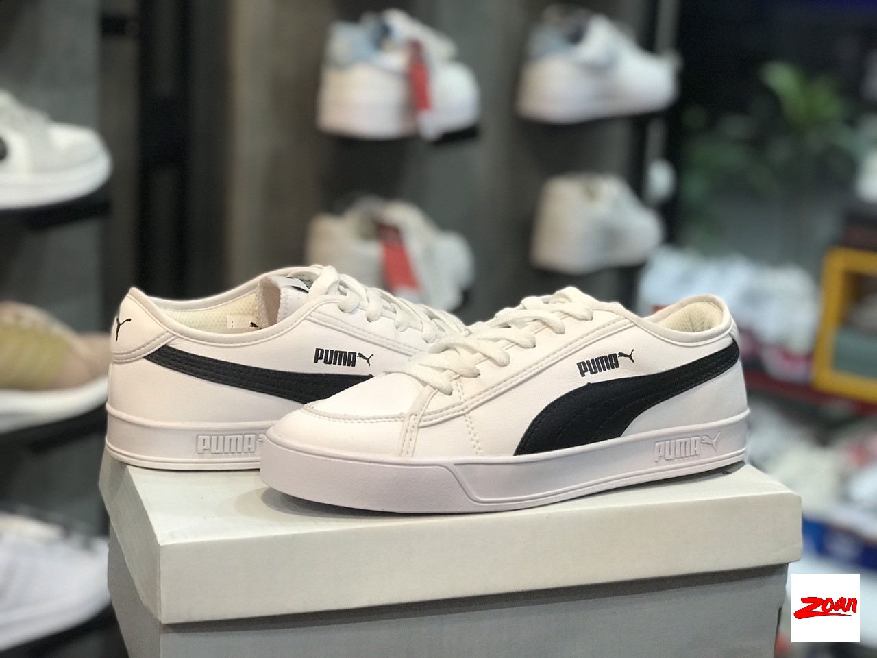 giày Puma đen trắng, sneaker Puma